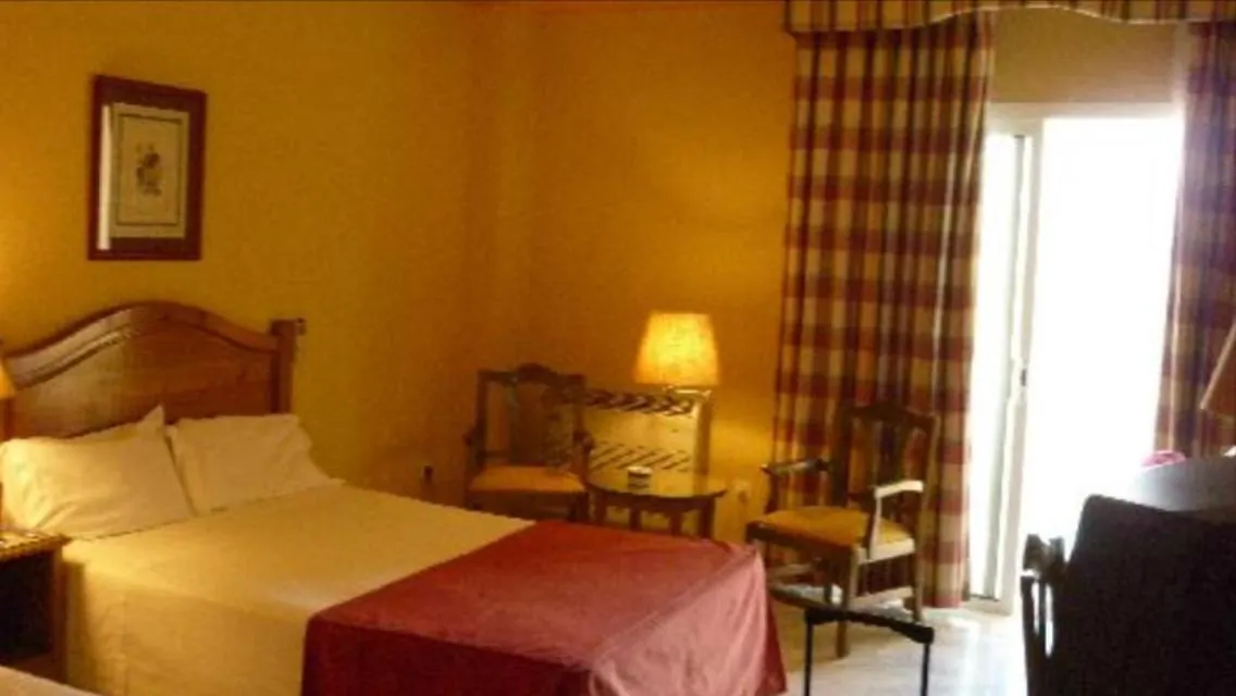 ****  Guadalmar Playa Hotel Málaga España